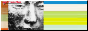 Forever Young, Album by Alphaville